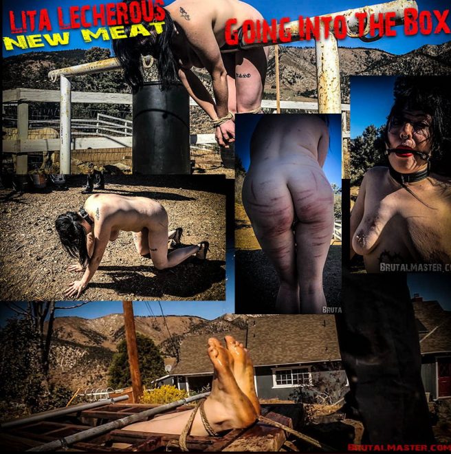 Brutal Master LIta Lecherous:  New Meat – Going Into The Box