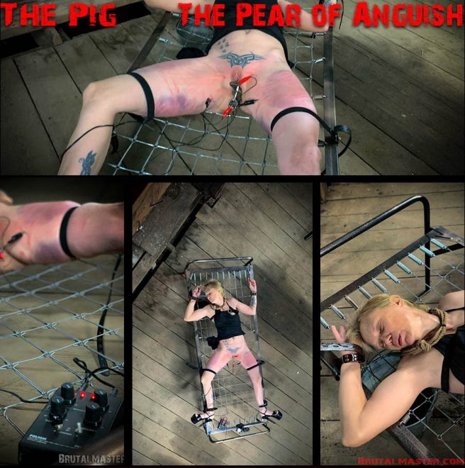 Brutal Master: The Pig – The Pear Of Anguish