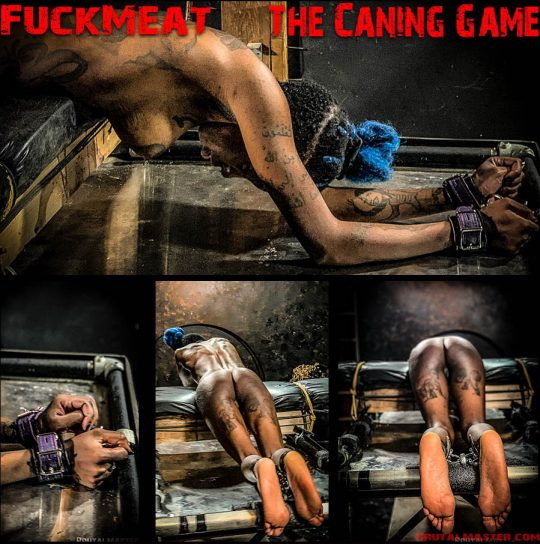 Brutal Master: Fuckmeat – The Canning Game  (Release date: Mar 19, 2020)
