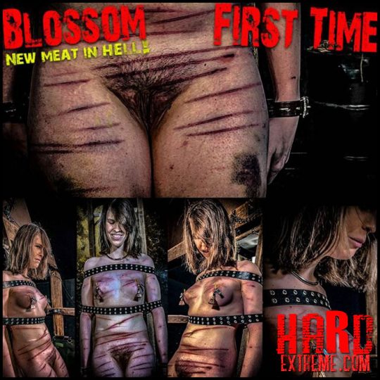 Brutal Master:  NEW MEAT Blossom First Time (Chapter One)