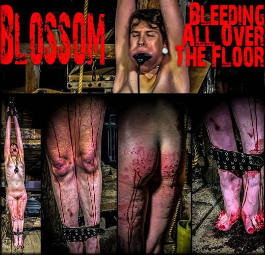 Brutal Master: Blossom – Bleeding All Over The Floor (09.07.22)