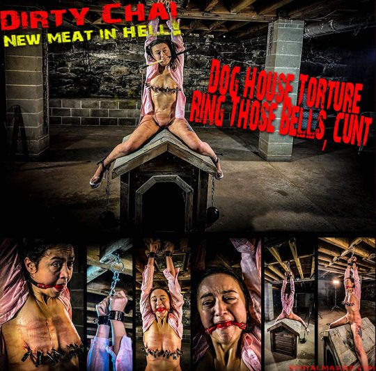Brutal Master: Dirty Chai – Dog House Torture, Ring Those Bells, Cunt (08.16.22)