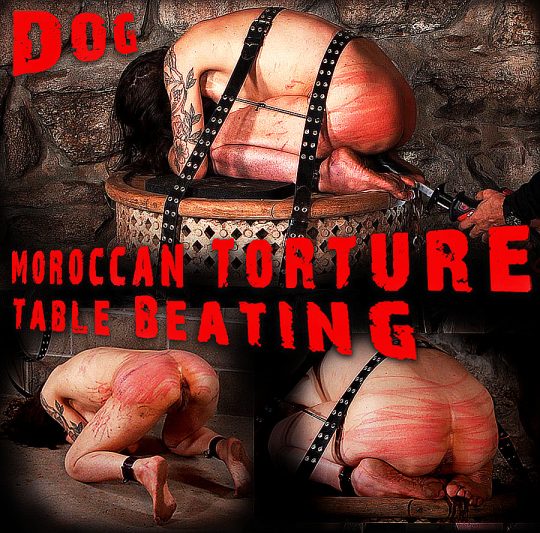 Brutal Master: Dog – Moroccan Torture Table Beating (08.30.22)