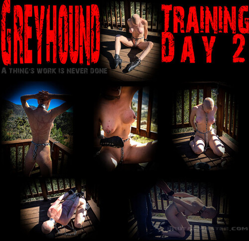 Brutal Master: Greyhound – Training Day 2 (02.23.23)