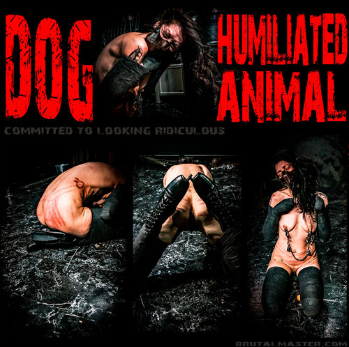 Brutal Master: Dog – Humiliated Animal (10.02.23)