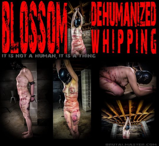 Brutal Master: Blossom Dehumanized Whipping